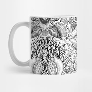 Beach treasures 3 Mug